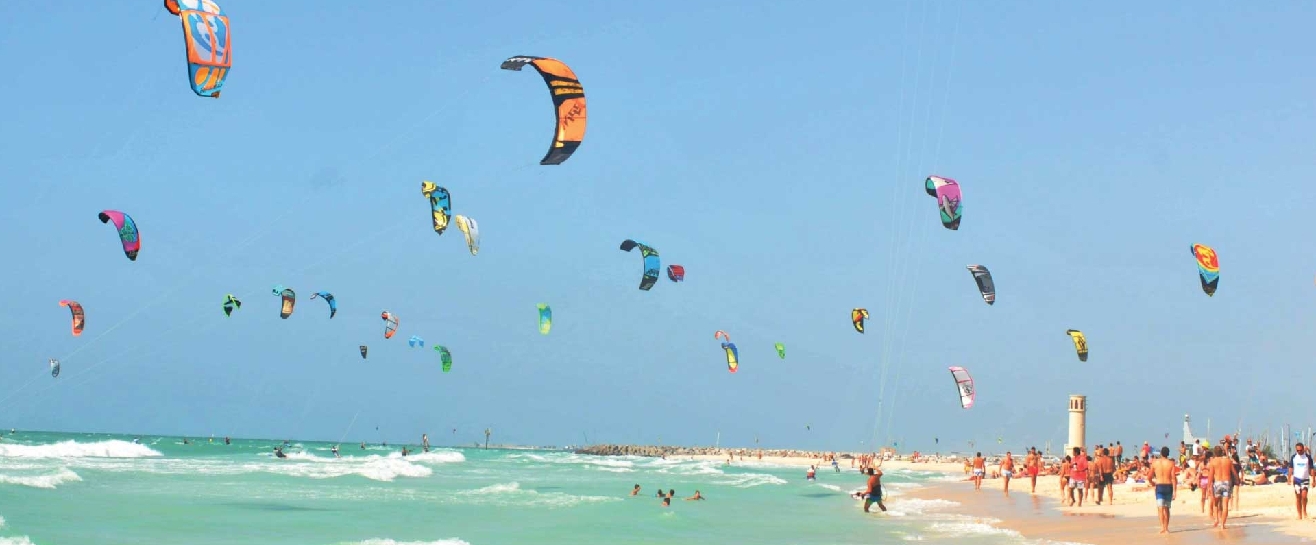 kite_beech